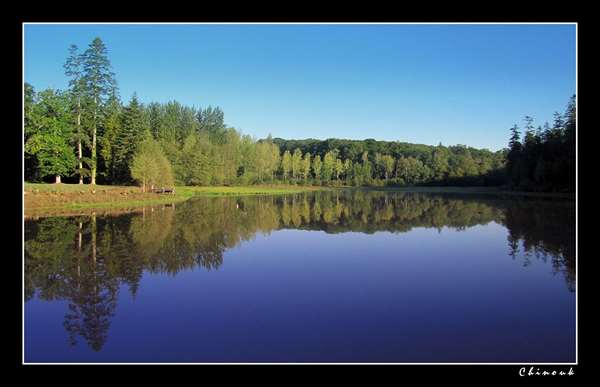 etang des forges de paimpont 