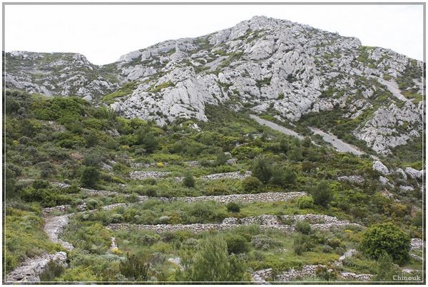 colline amenagée sormiou 