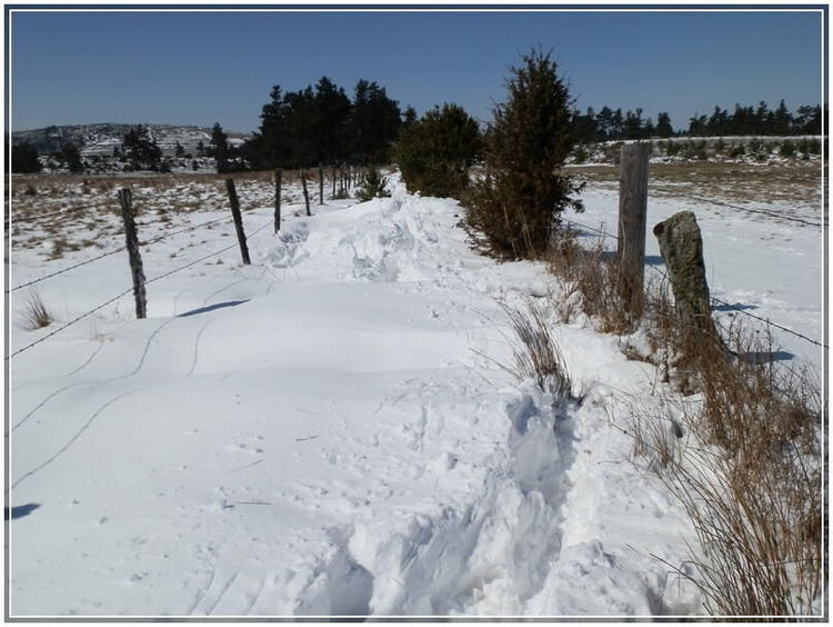  chemin enneigé de l Aubrac