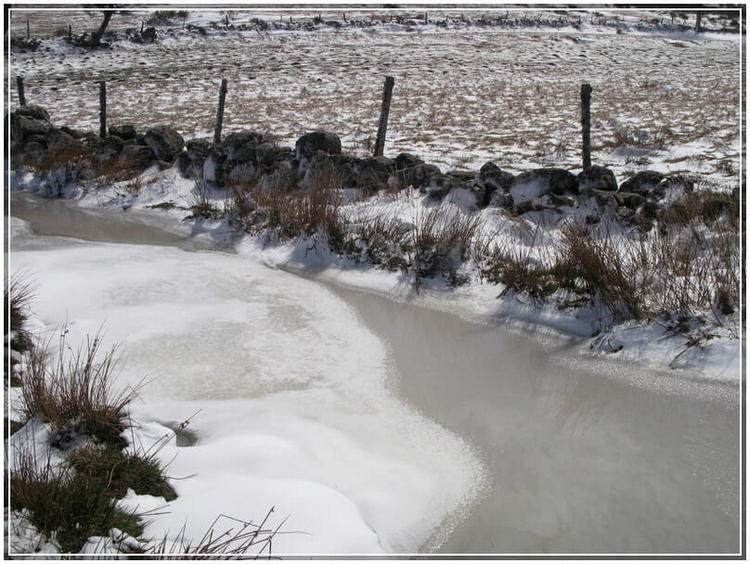  paysage aubrac gelée