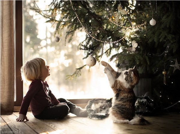  © Elena Shumilova 