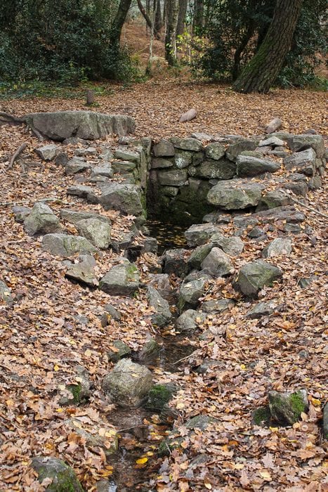  fontaine de Merlin broceliande 