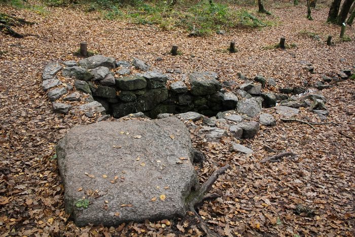 La fontaine de Barenton dans la forêt de Brocéliande