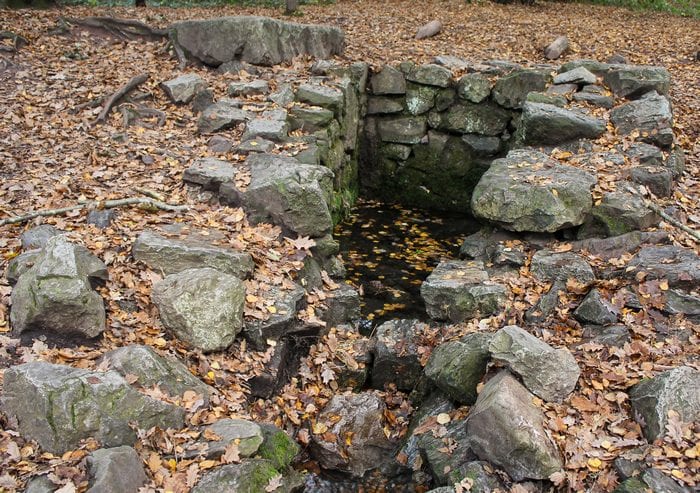 La fontaine de Merlin 