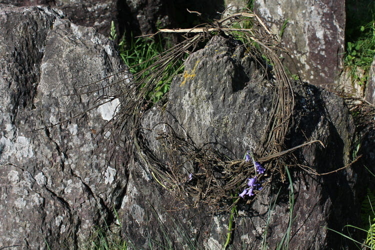 L’Hotié de Viviane 4