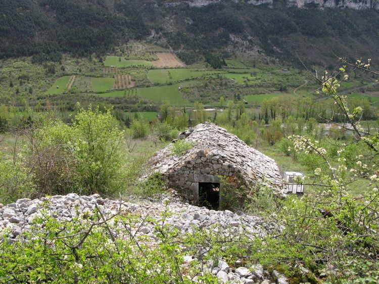 ruine troglodyte dans le tarn 