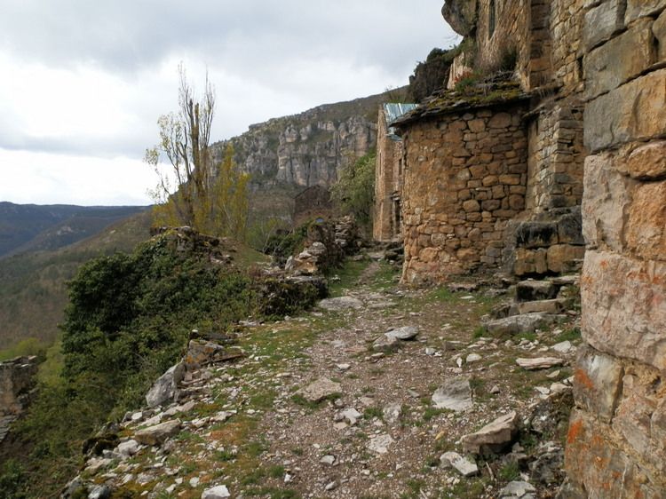 troglodyte dans les gorges du Tarn