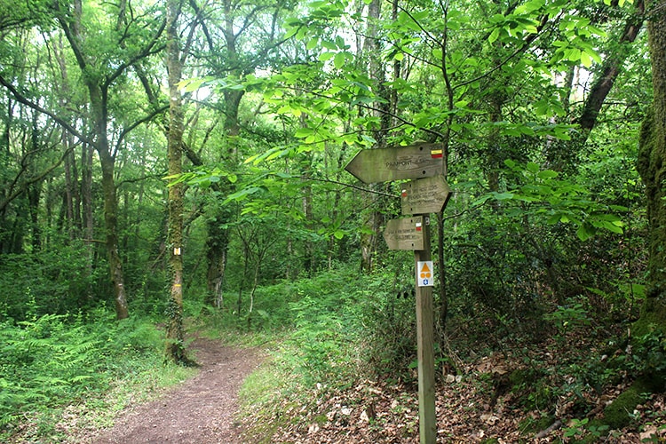 Vallée de L'Aff Broceliande