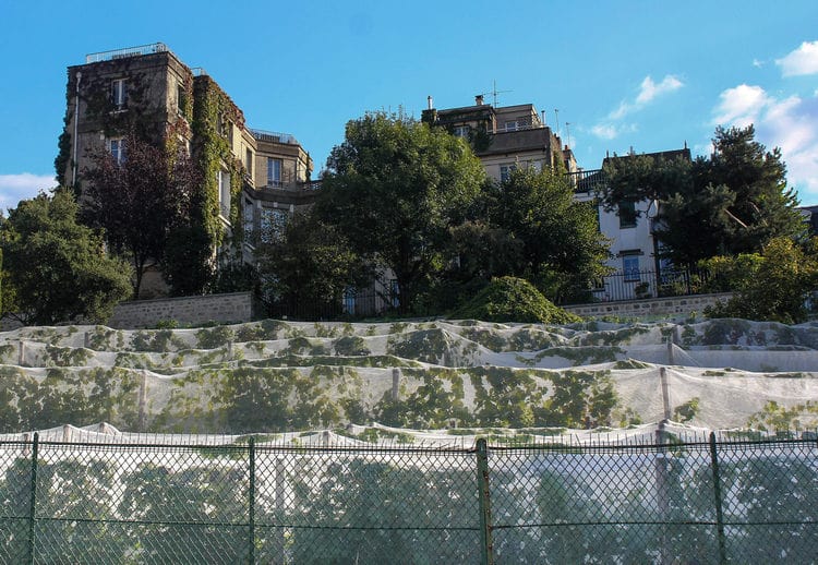 les vignes de Montmartre