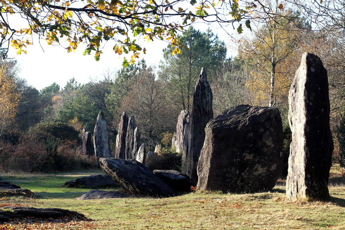 les Menhirs de Monteneuf 