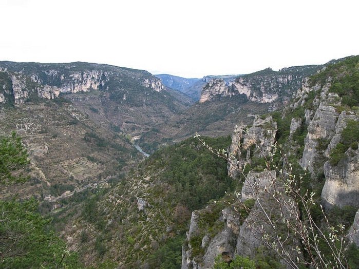 gorges du Tarn