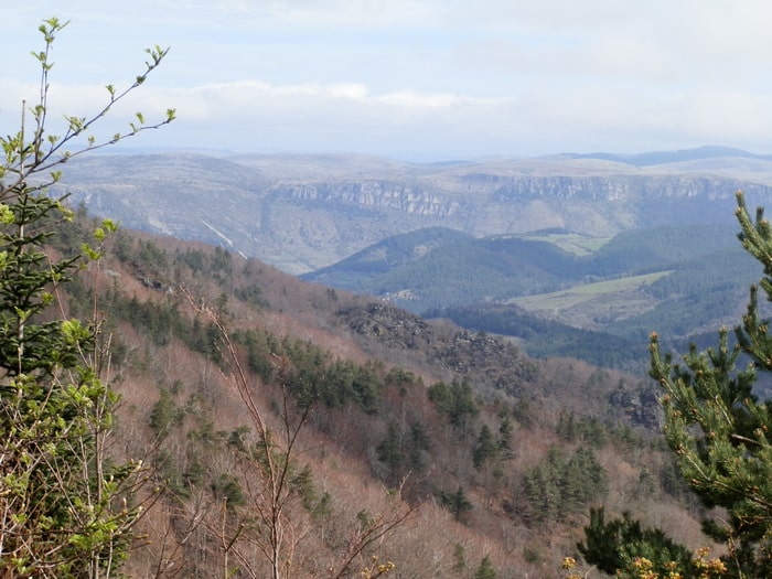 vue sur les cévennes 